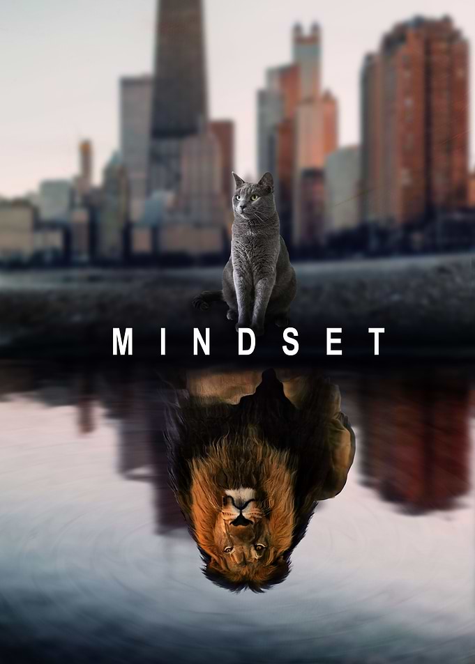 Mindset