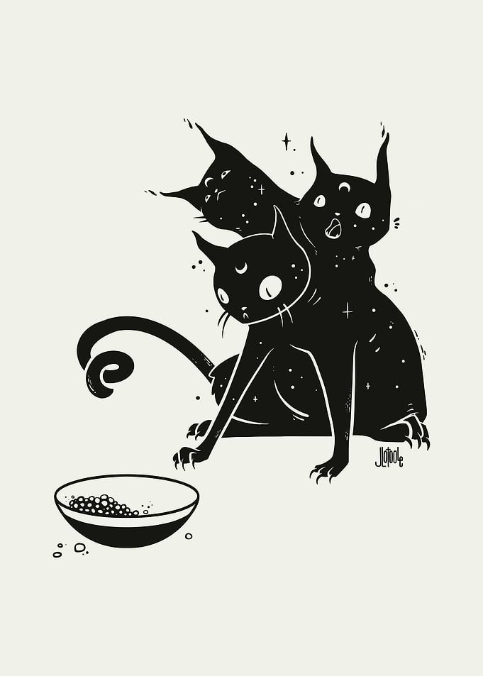 Three Headed Black Cat