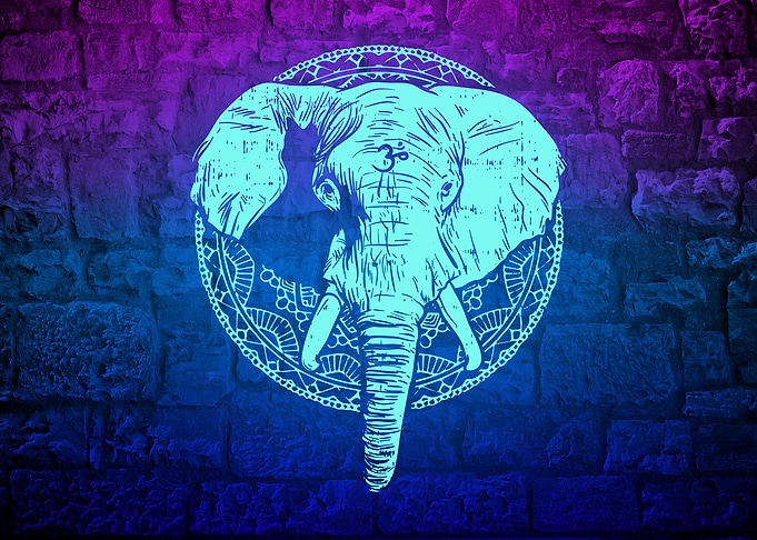 Spiritual Elephant motif