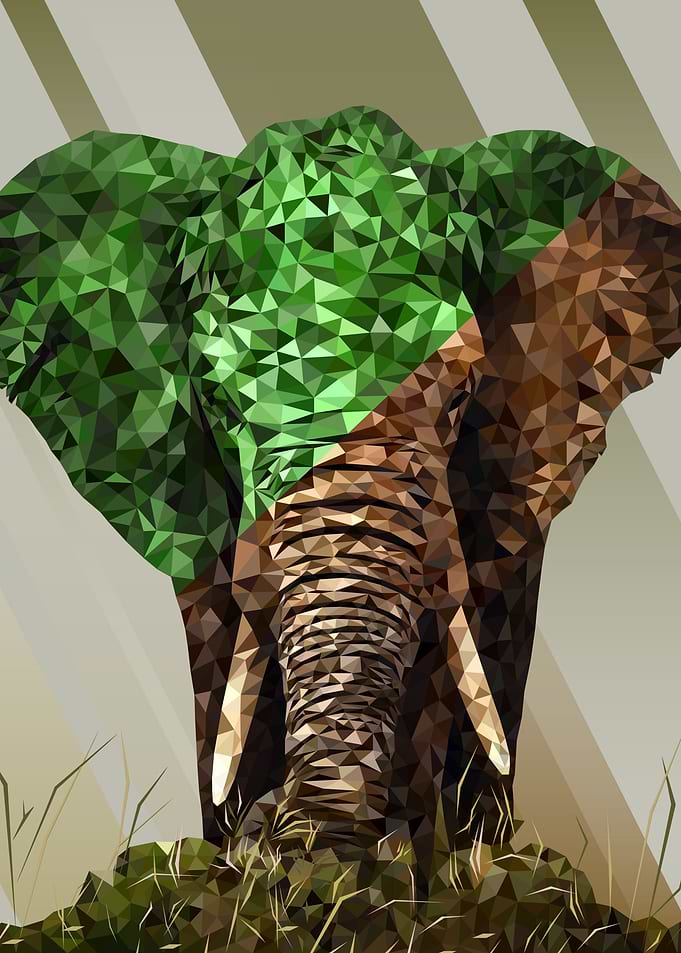 LOWPOLYPHANT
