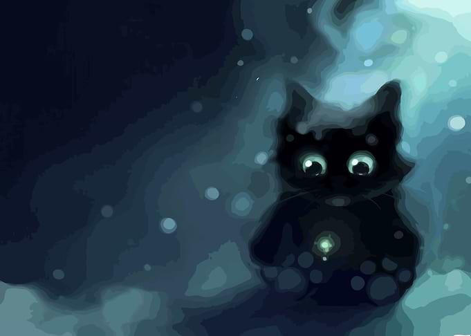 black cat