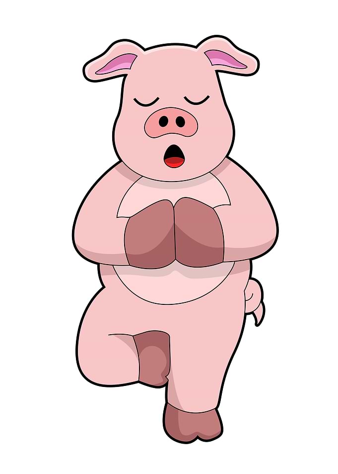Pig Yoga Sports