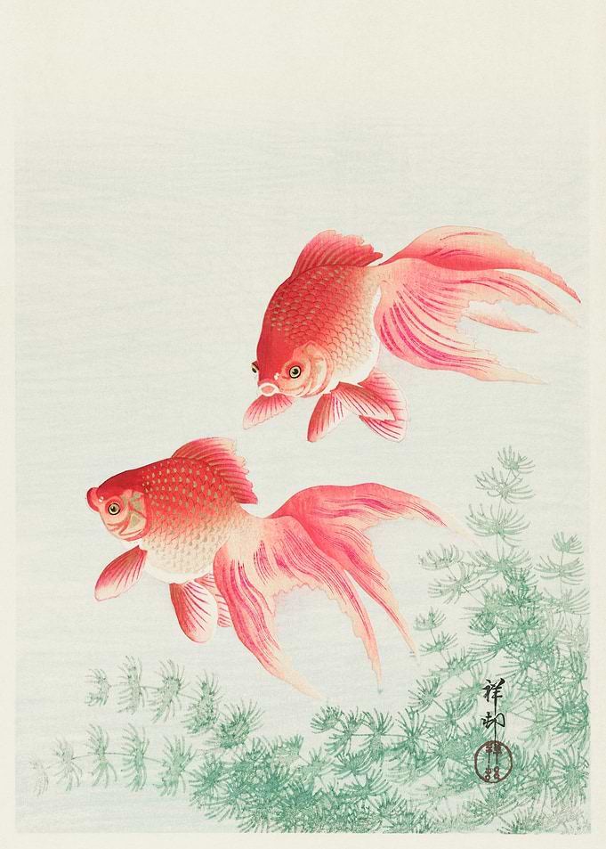Goldfish in a Pond