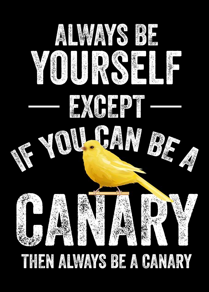 Be A Canary Canary Bird Pe
