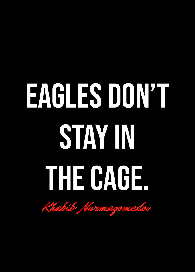 Khabib Nurmagomedov Quotes