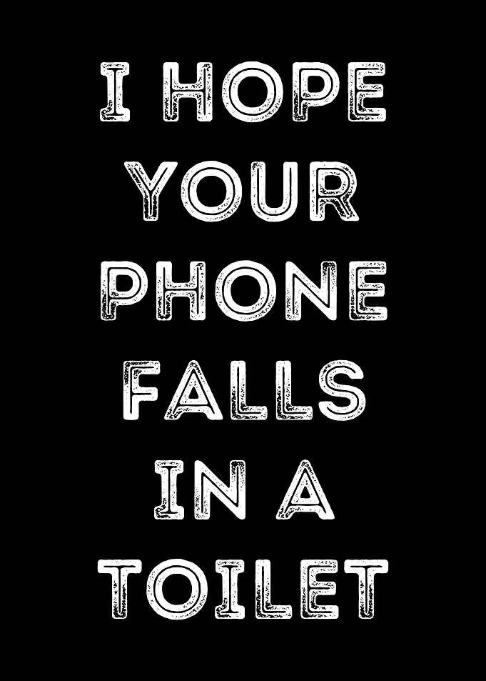 Phone in toilet