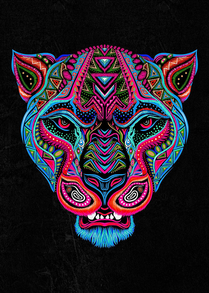 Jaguar full color