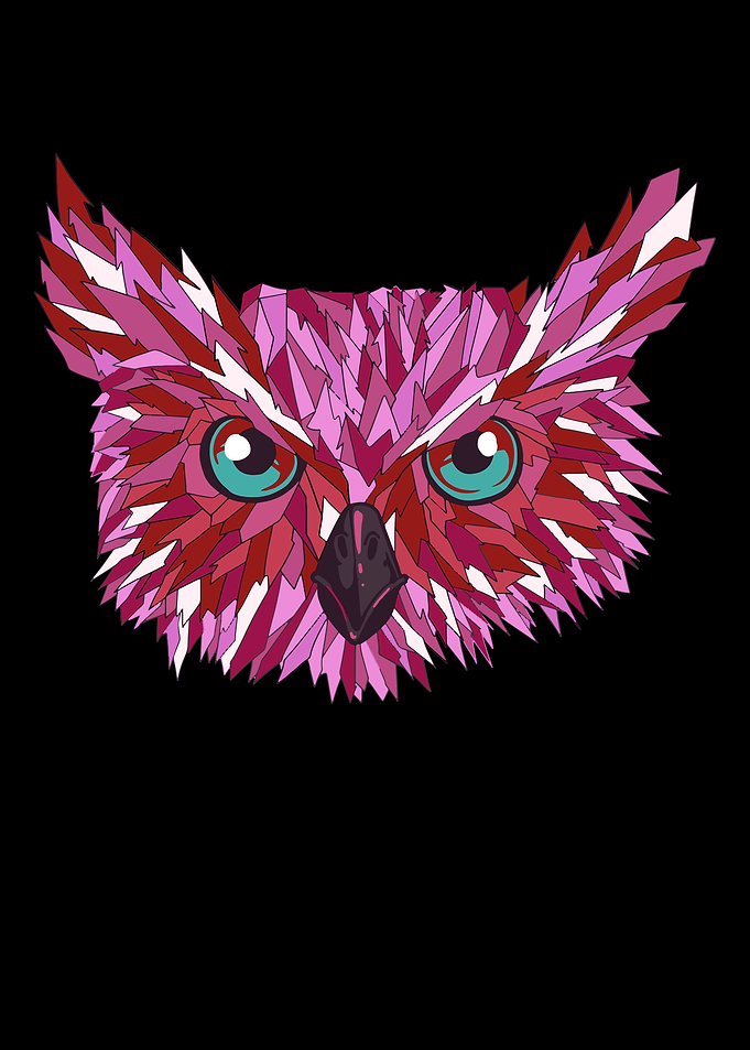 Lesbian Cool OWL Colors Of