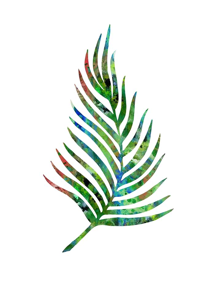 Palm