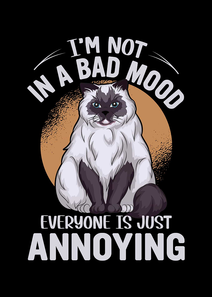 ANNOYED BY PEOPLE CAT