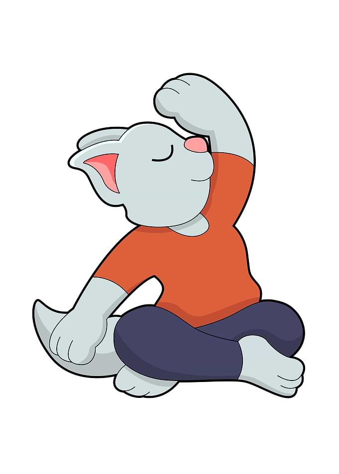Cat Yoga Sports