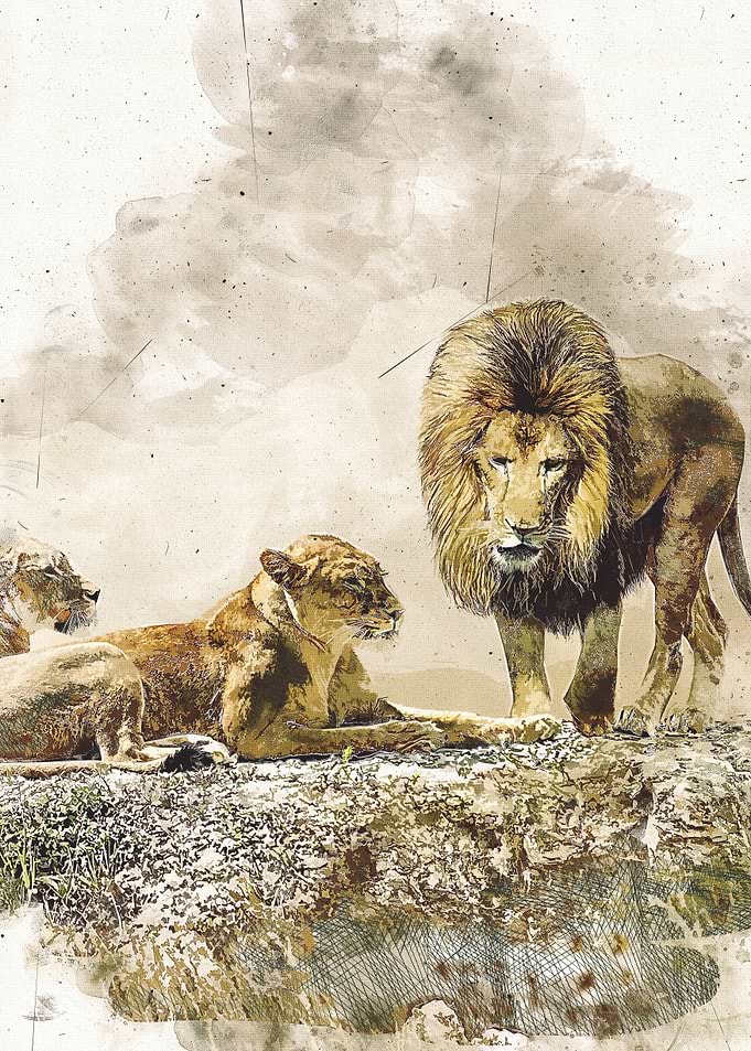 Lion king