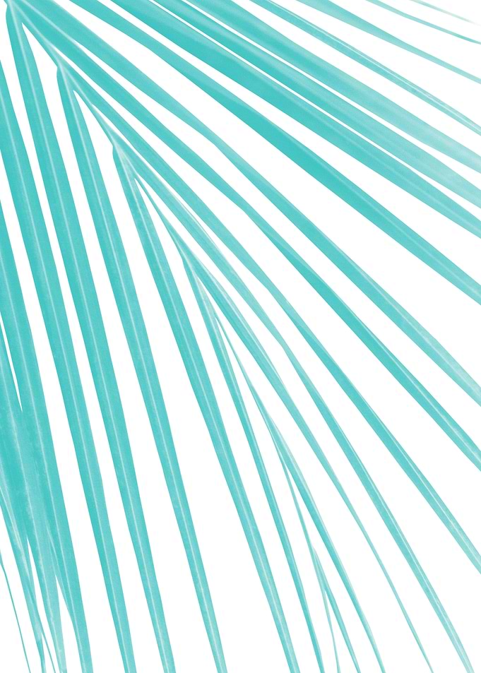 Soft Turquoise Palm Leaf 1