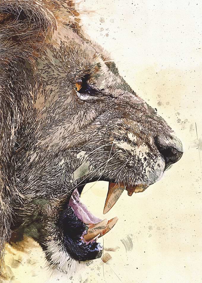 Lion