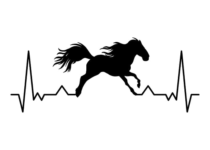 Friesian Horse Rider