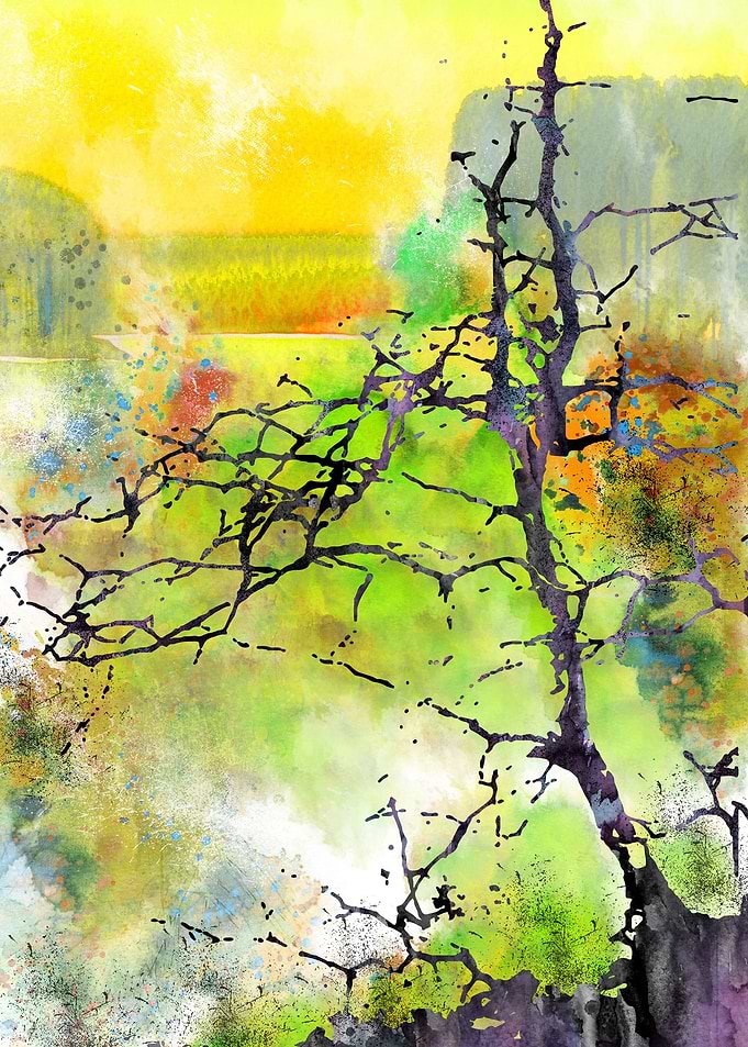 A lonely tree