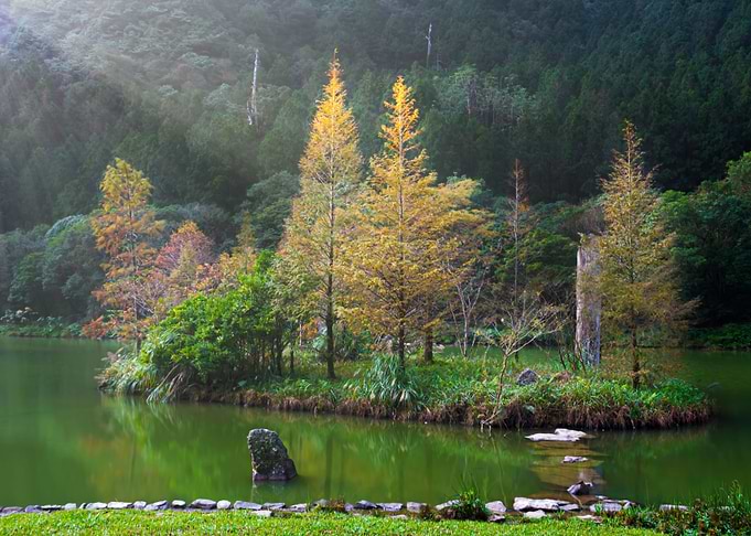 Mingchi Forest Recreation