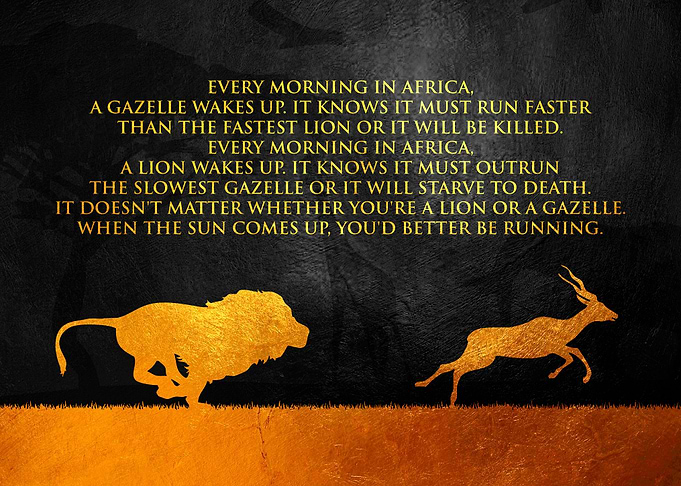 African Proverb