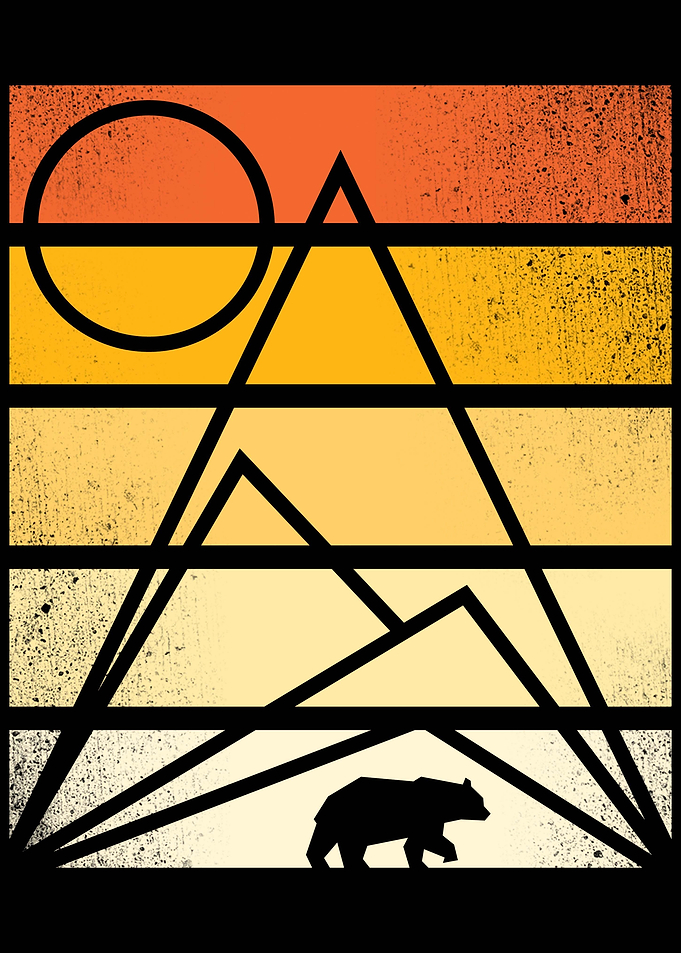 The Wild Geometry