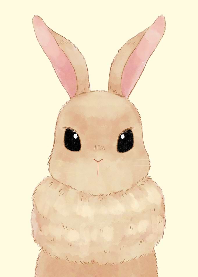 Rabbit