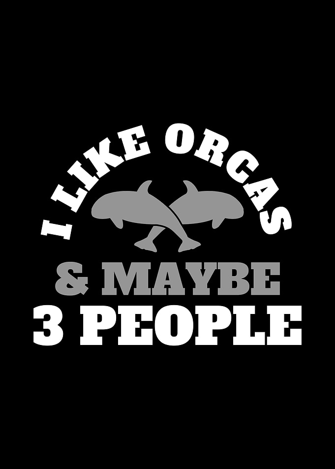 Orcas Whales Introvert