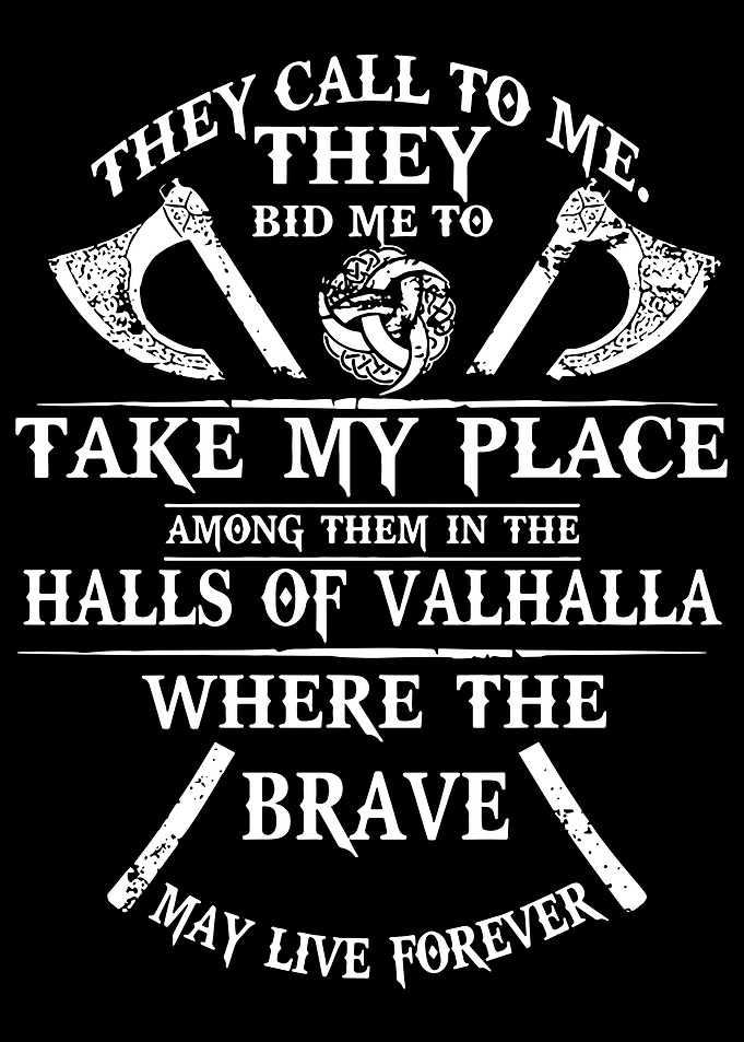 Viking Brave Valhalla