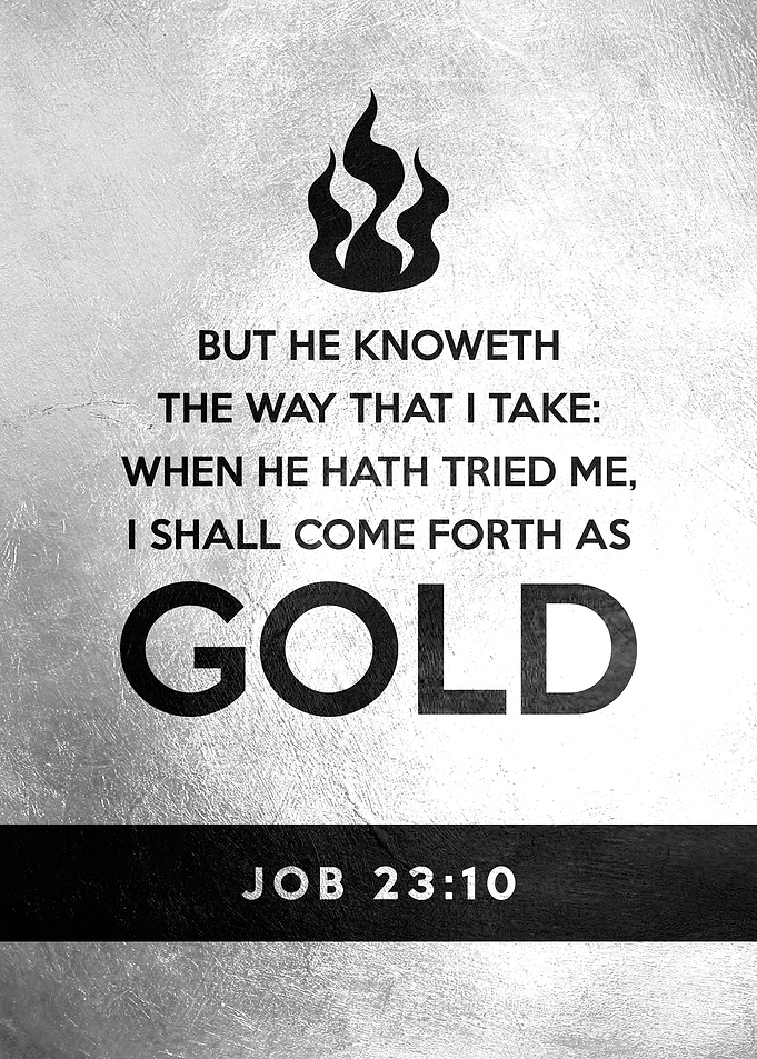 Job 23 10