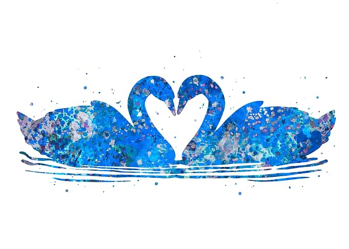 Swan love blue