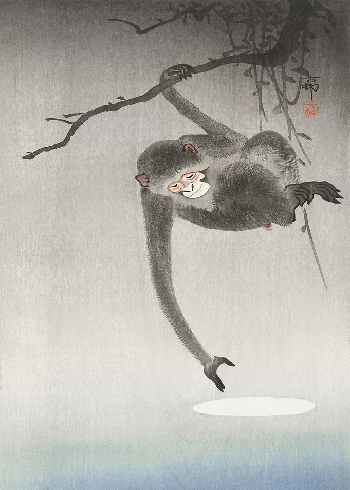Monkey and the Moon
