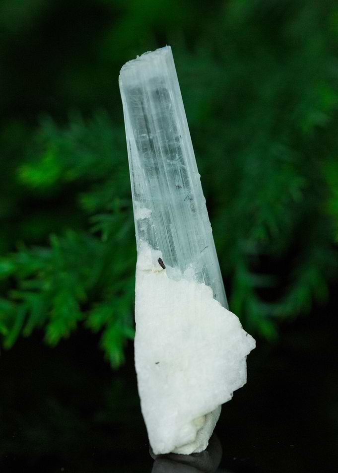 aquamarine