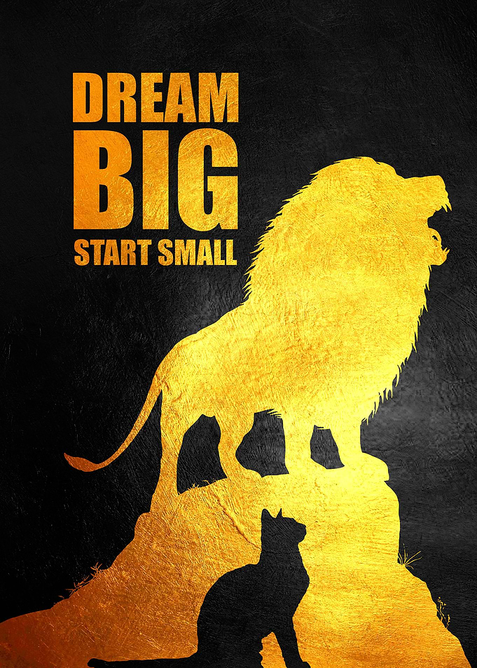 Dream Big Start Small