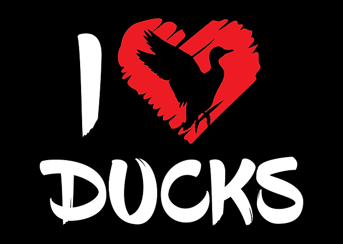 I Love Ducks Heart