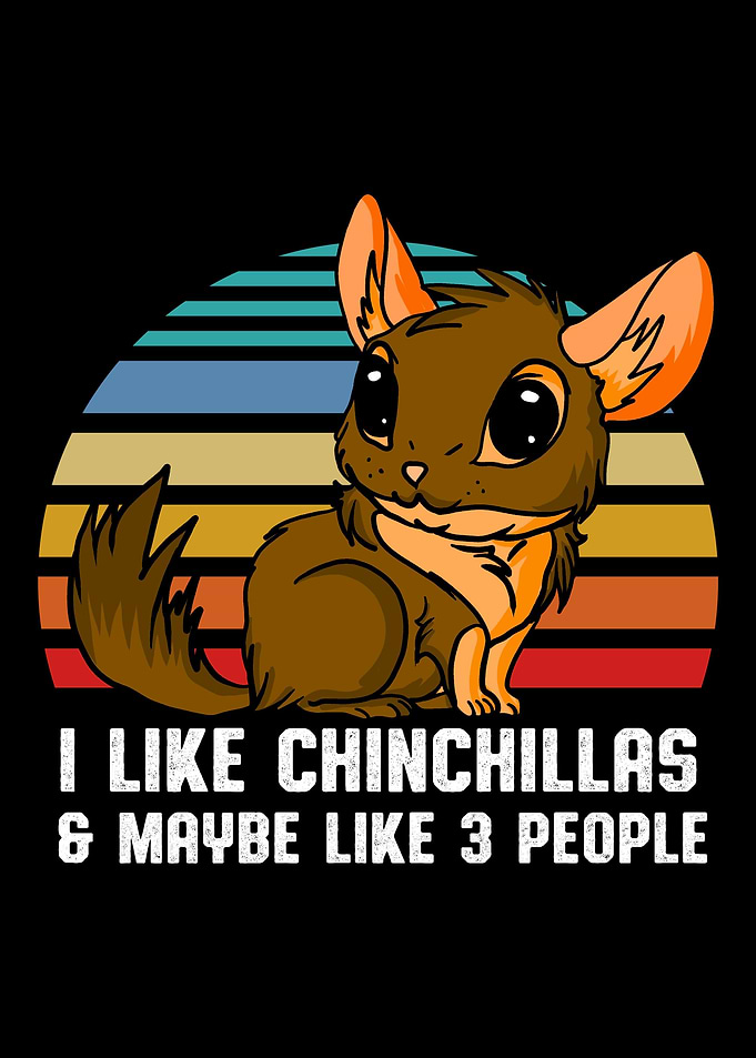 Chinchilla