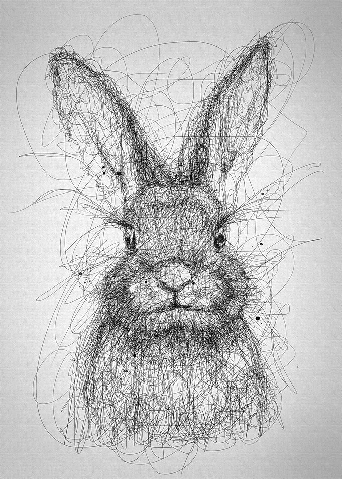 rabbit scribbleart