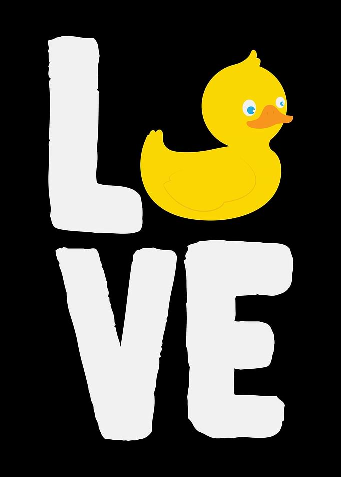 Duck Love Duckling Ducky