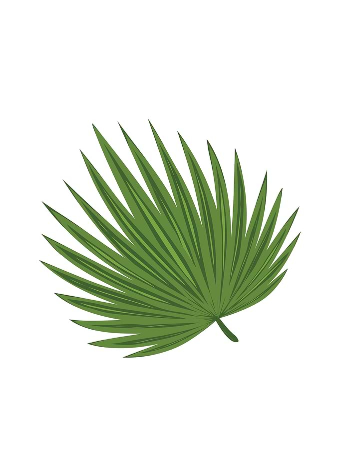 Leaf