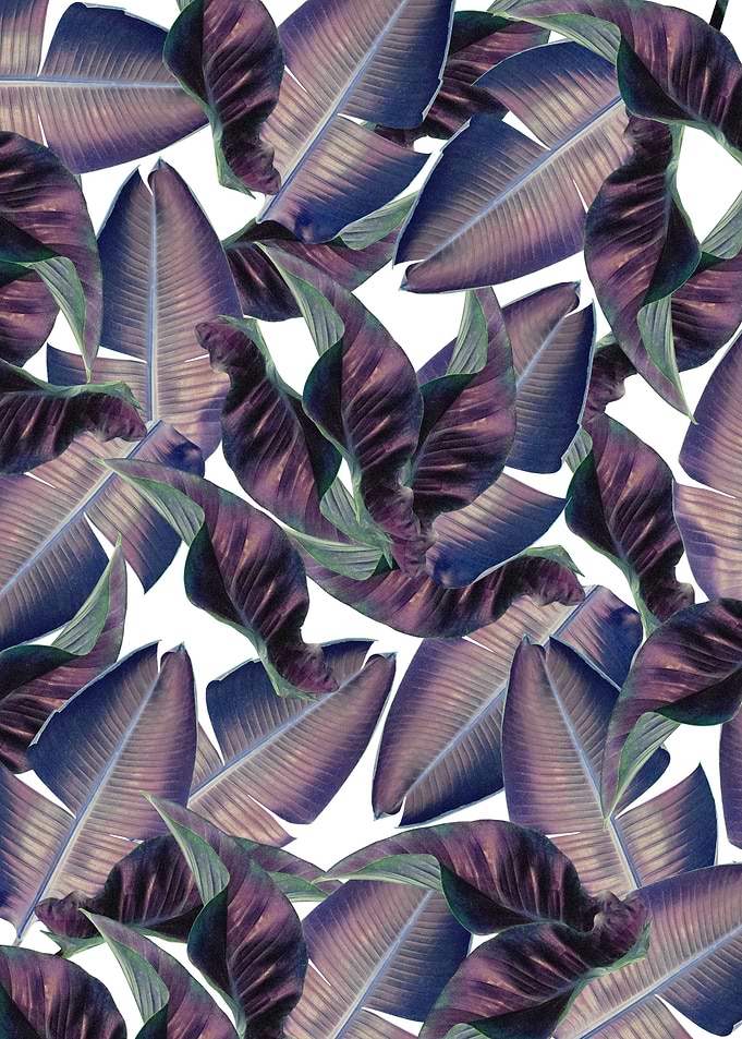 Iridescent Tropical Leaf 1