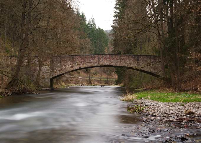 Bridging nature