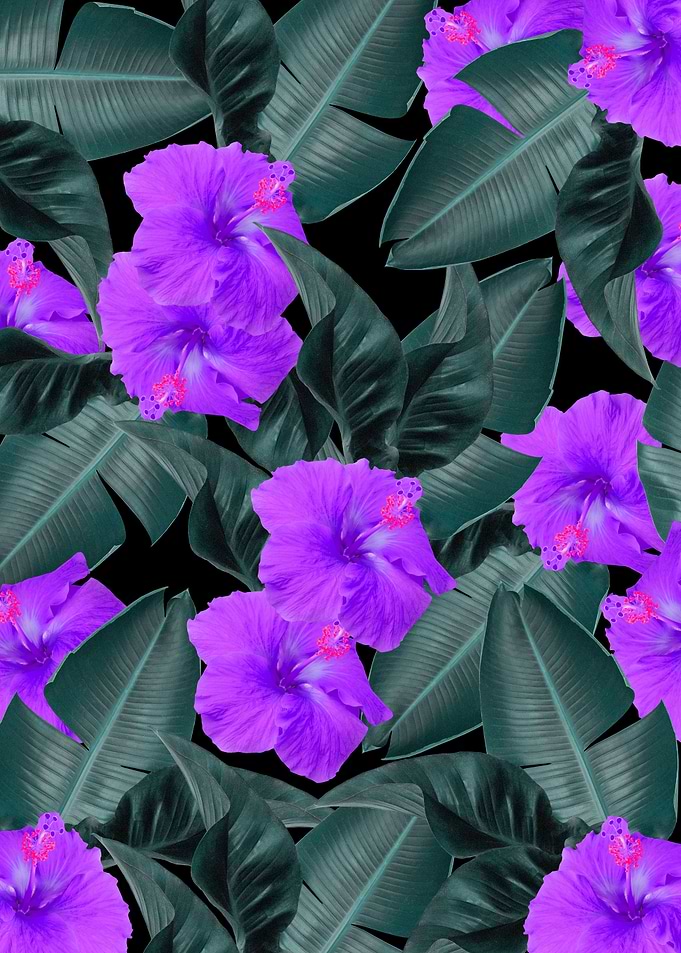 Hibiscus Jungle Leaves 1