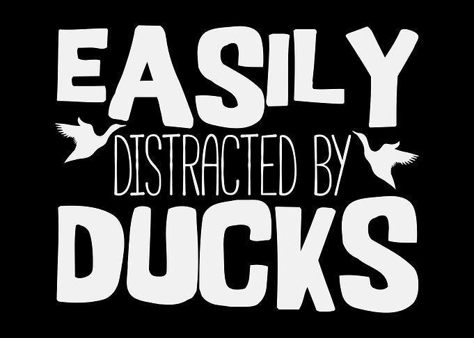 Easily Distracted By Ducks