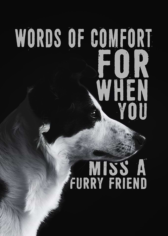 Dog Life Quote