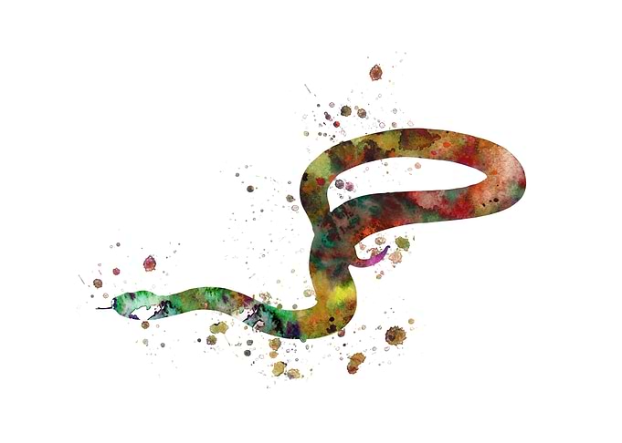 Snake