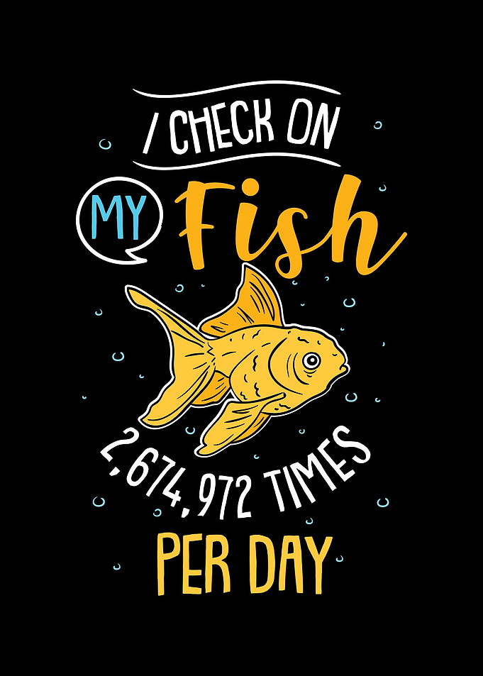 I Check On My Fish times d