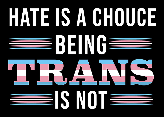 Transgender Genderqueer