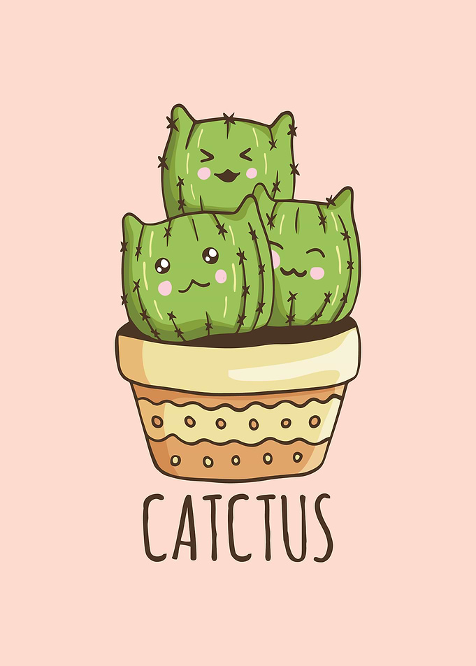 CUTE CAT SWEET CATCTUS
