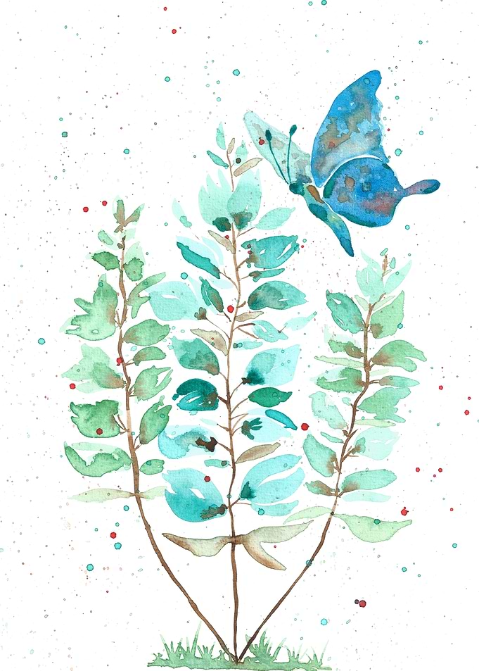 The butterfly and the turq