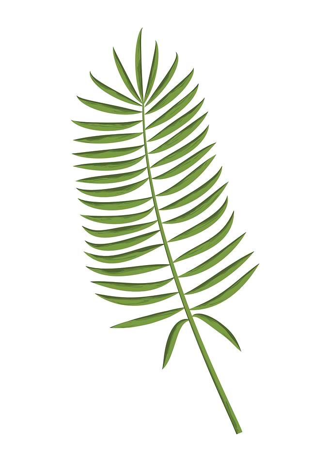 Leaf
