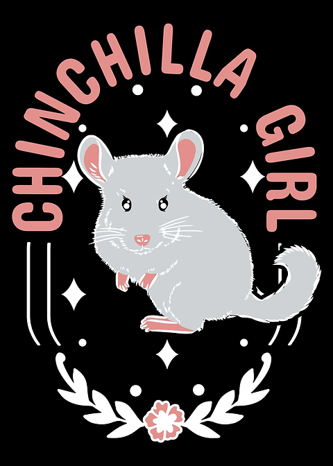 Chinchilla