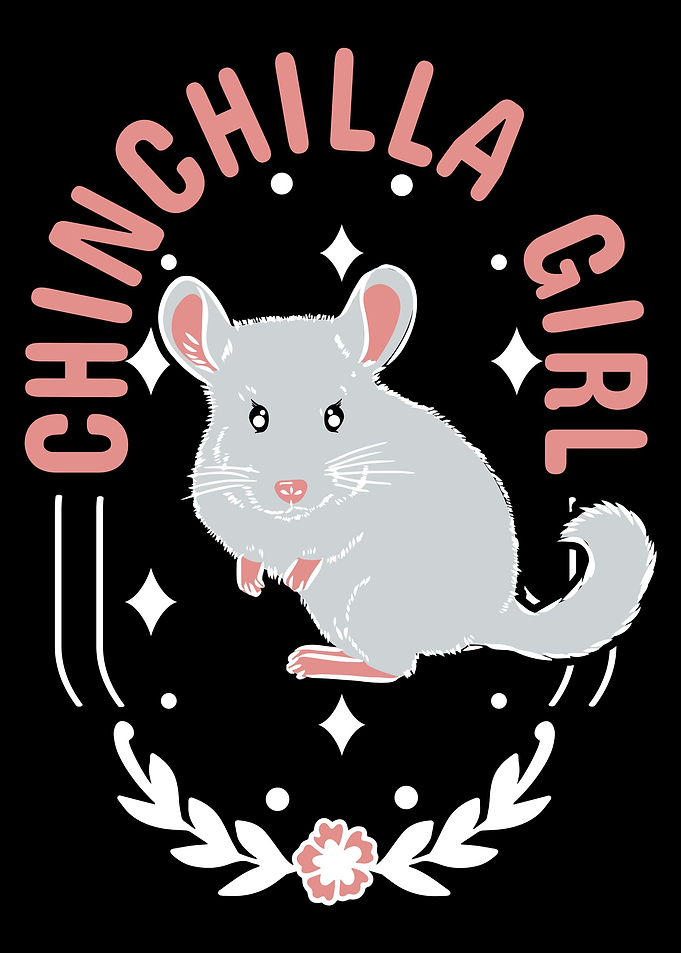 Chinchilla