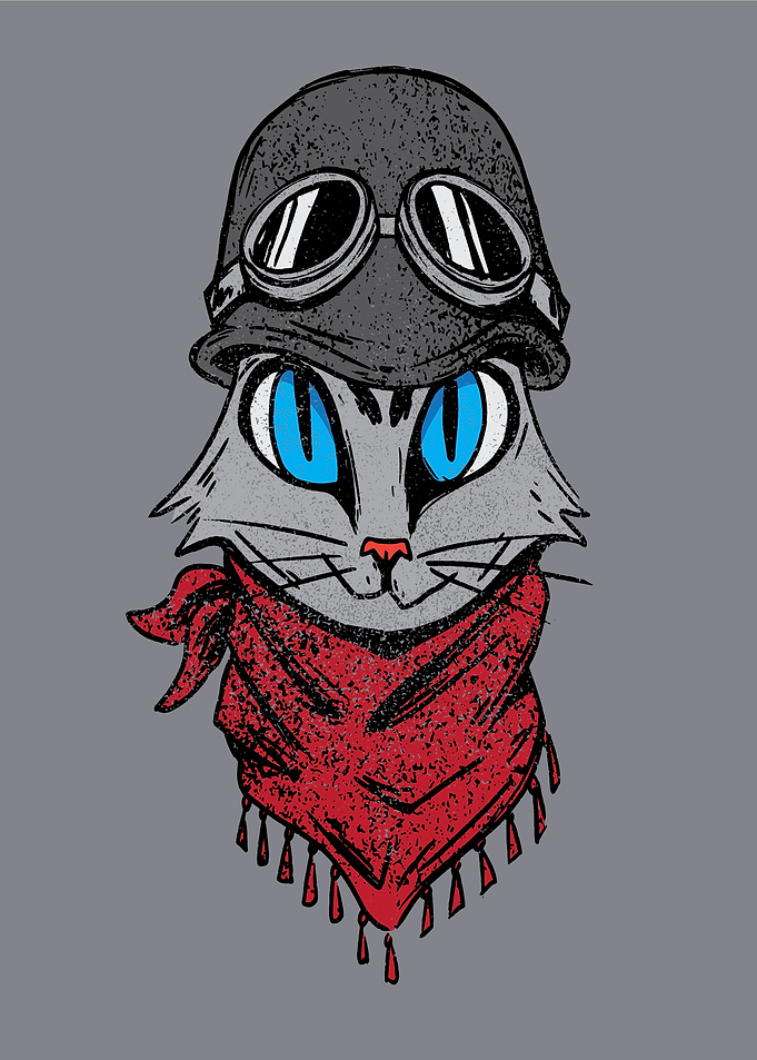 CUTE CAT ADVENTUROUS